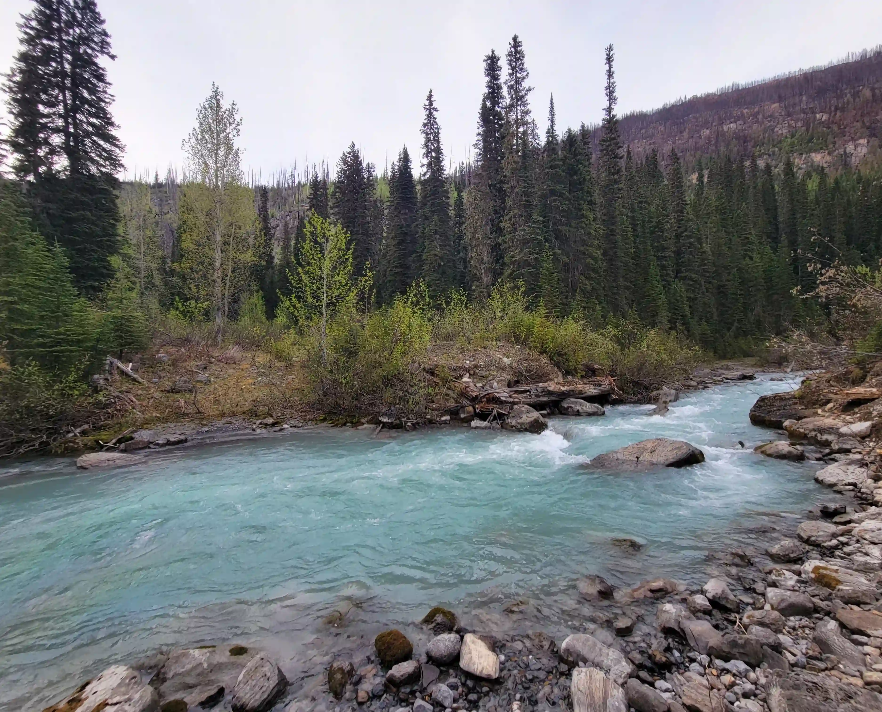 Mount King Edward image 2