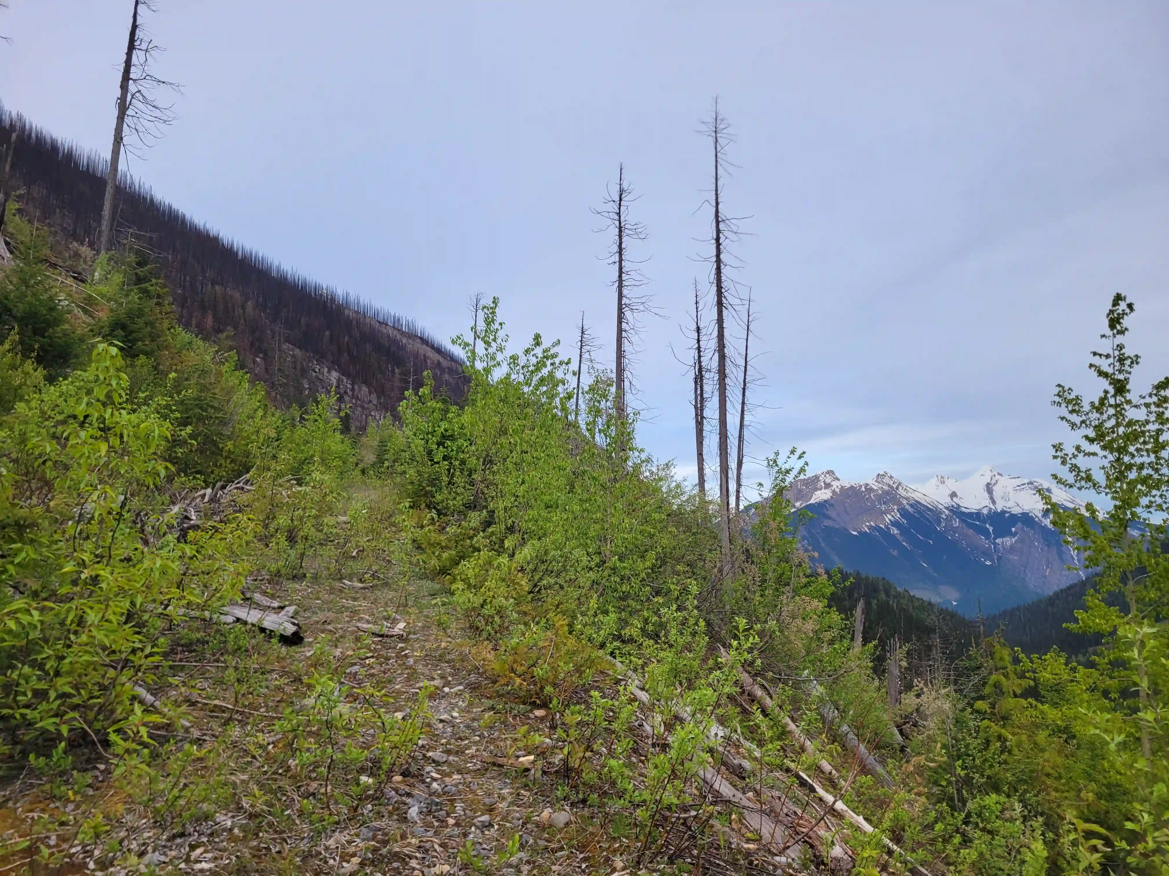 Mount King Edward image 3
