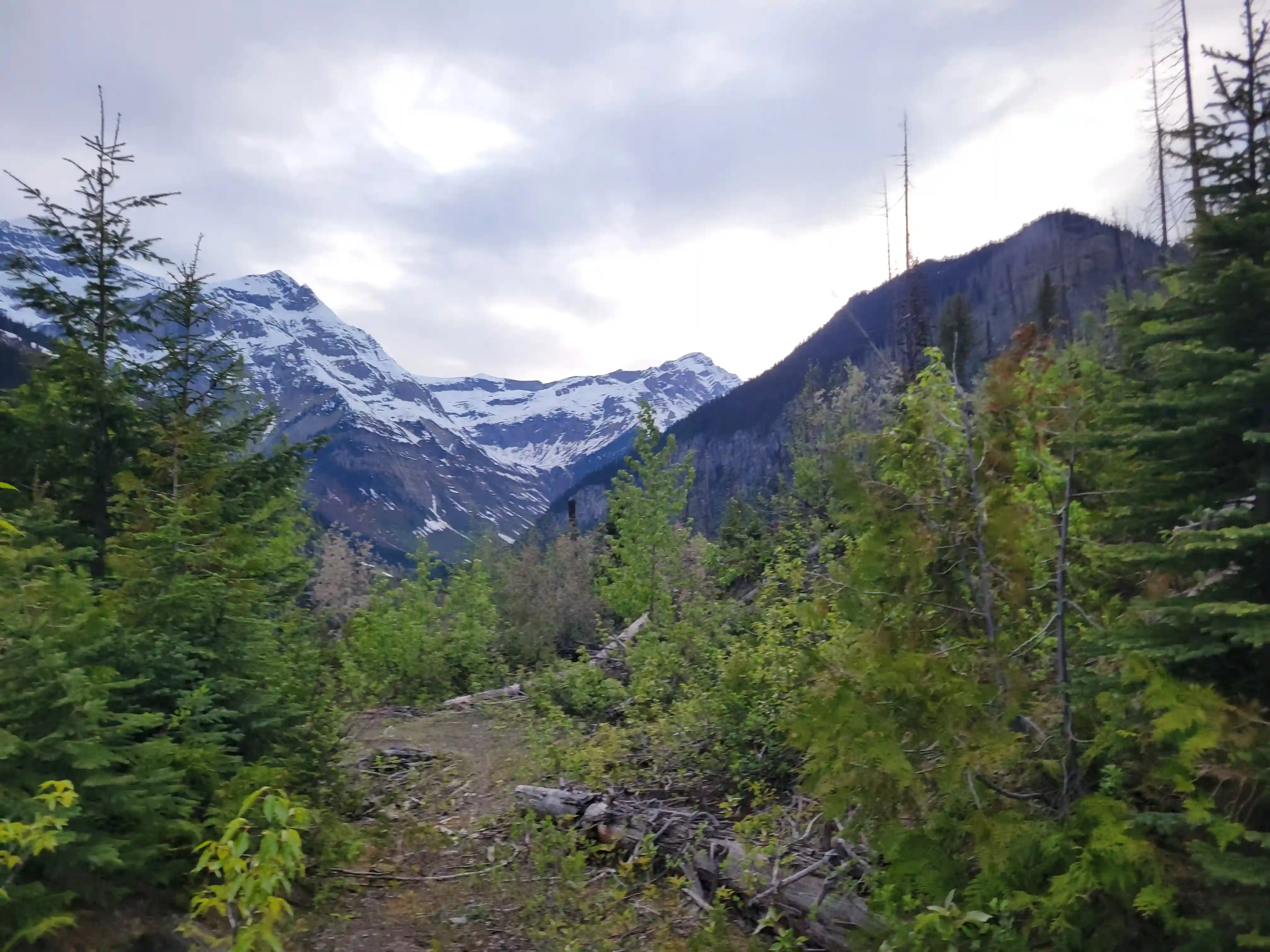 Mount King Edward image 4