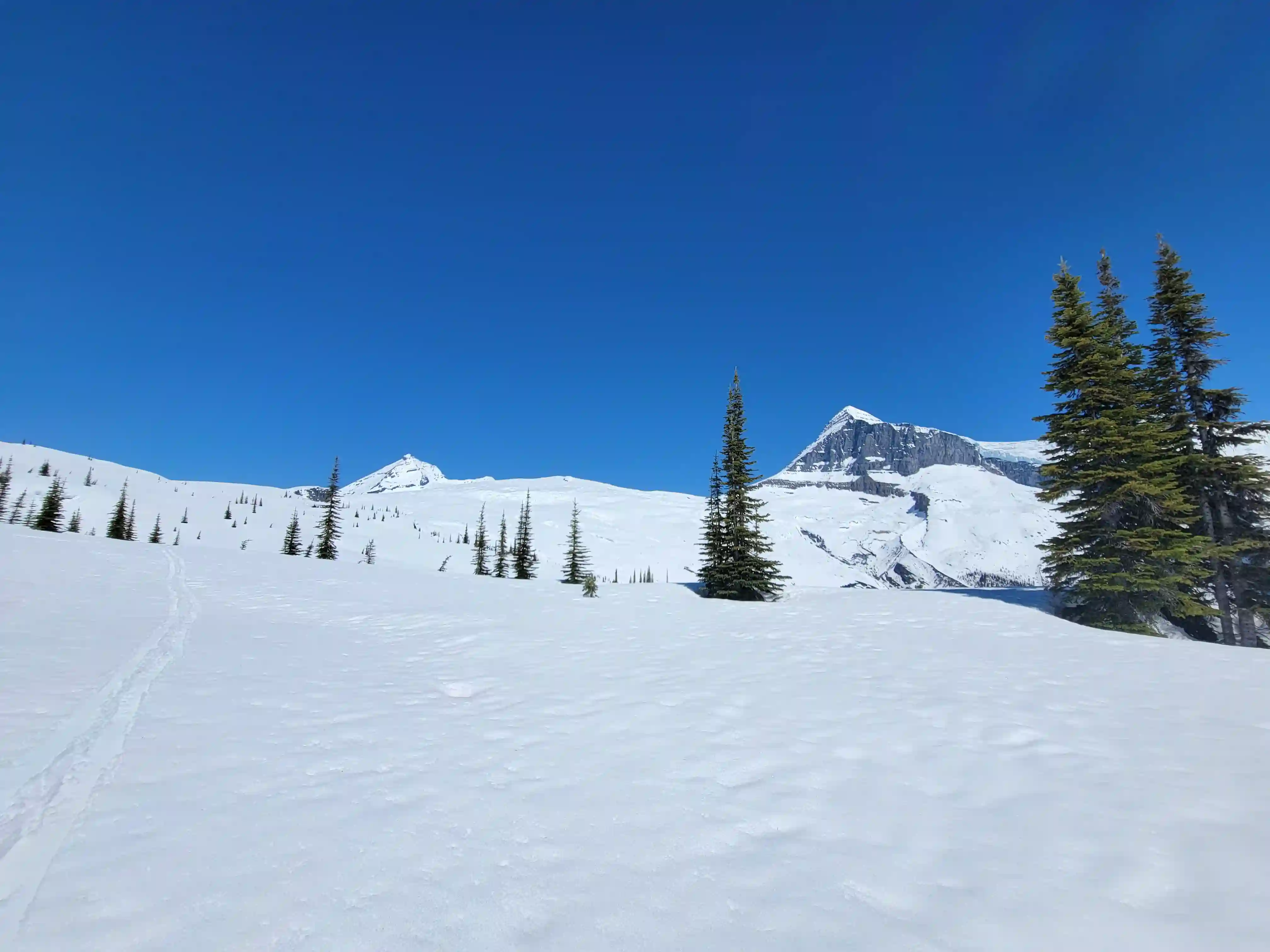 Mount King Edward image 53
