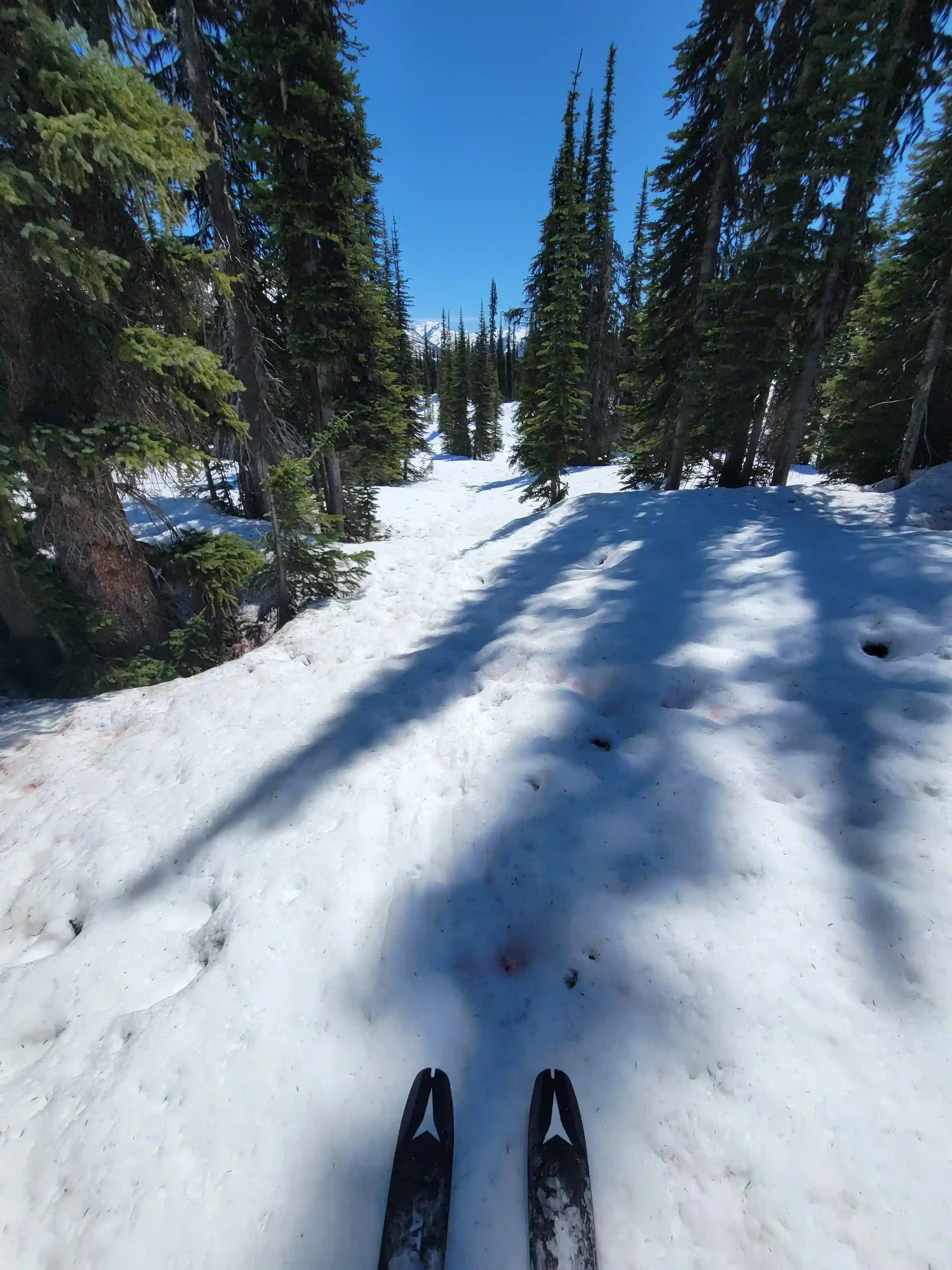 Mount King Edward image 55