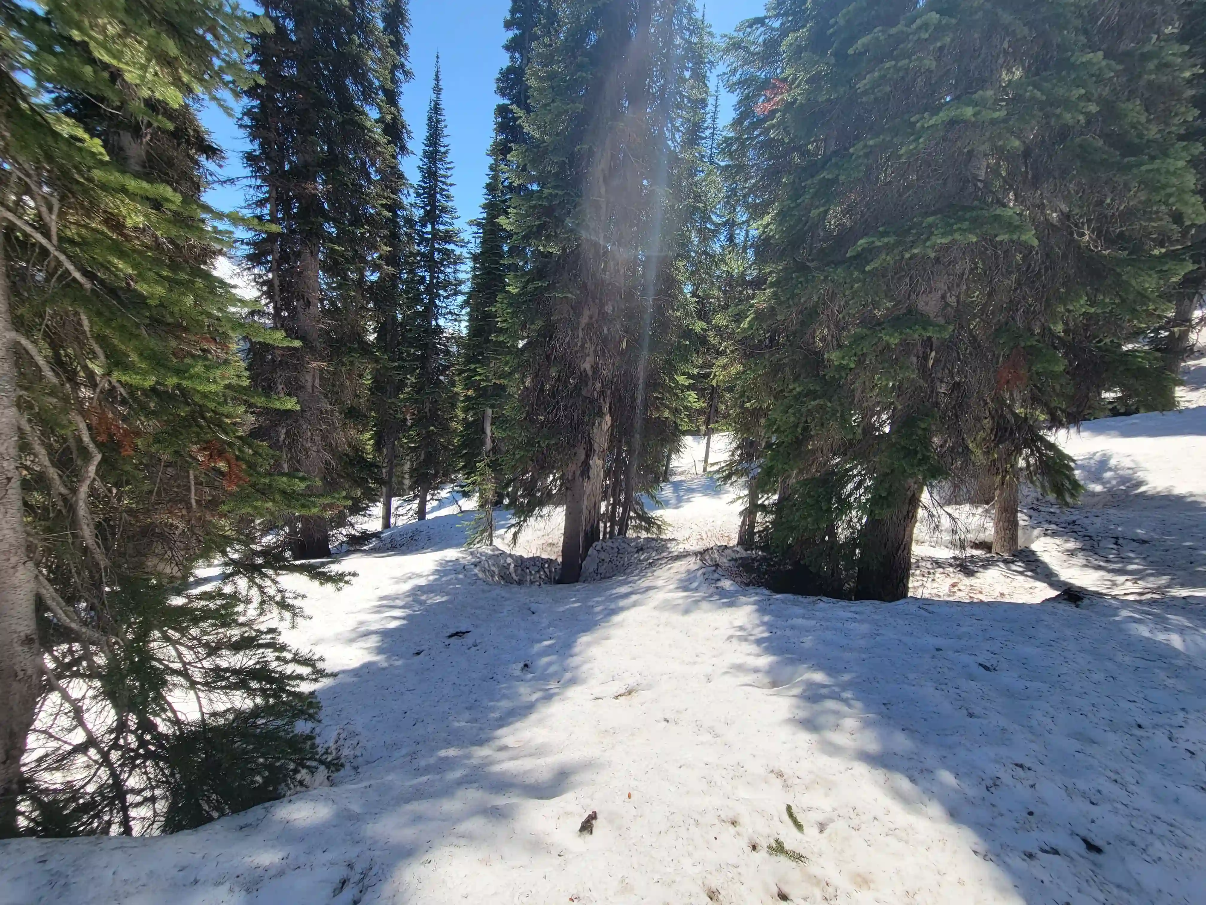 Mount King Edward image 56