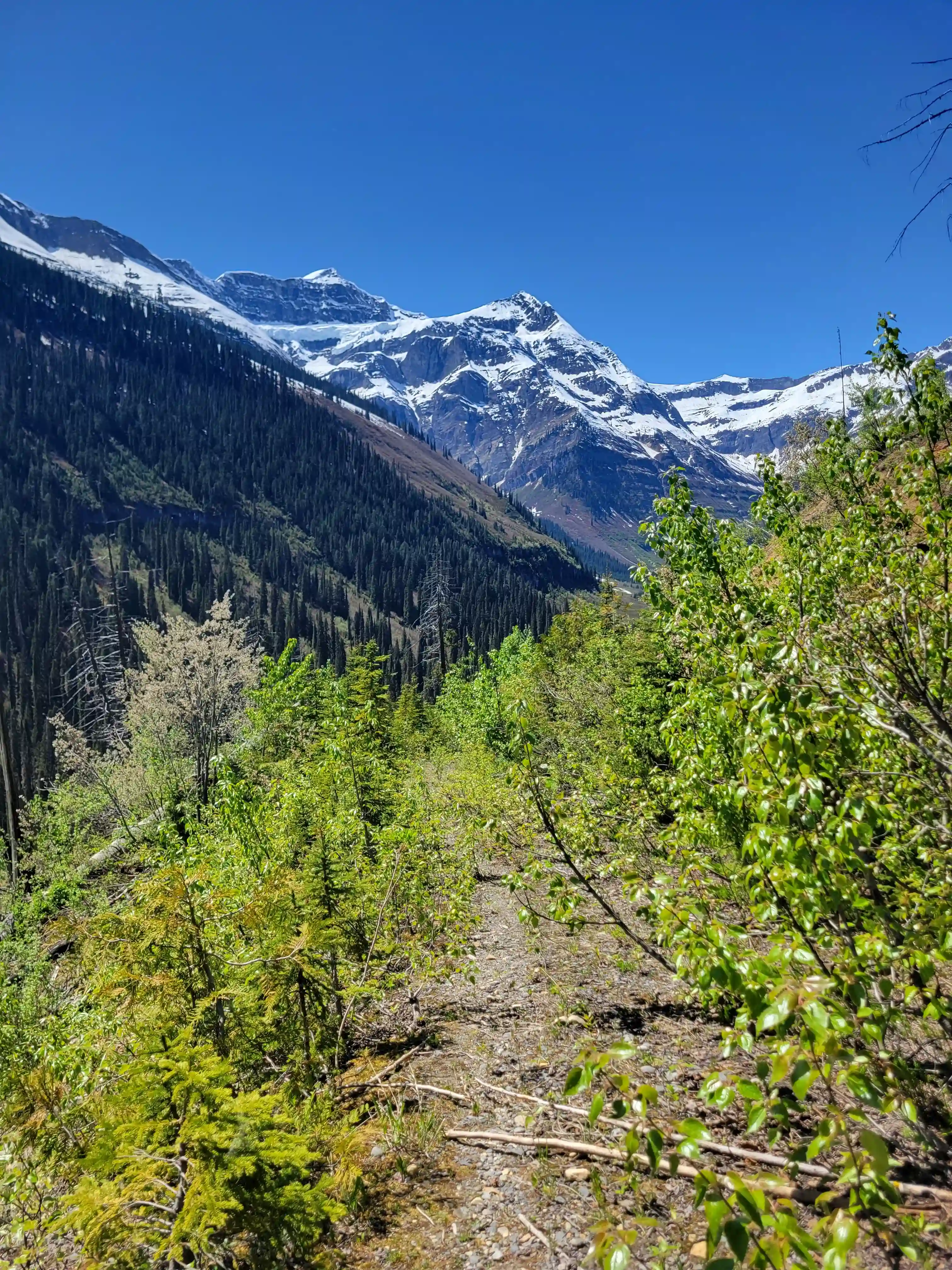 Mount King Edward image 57