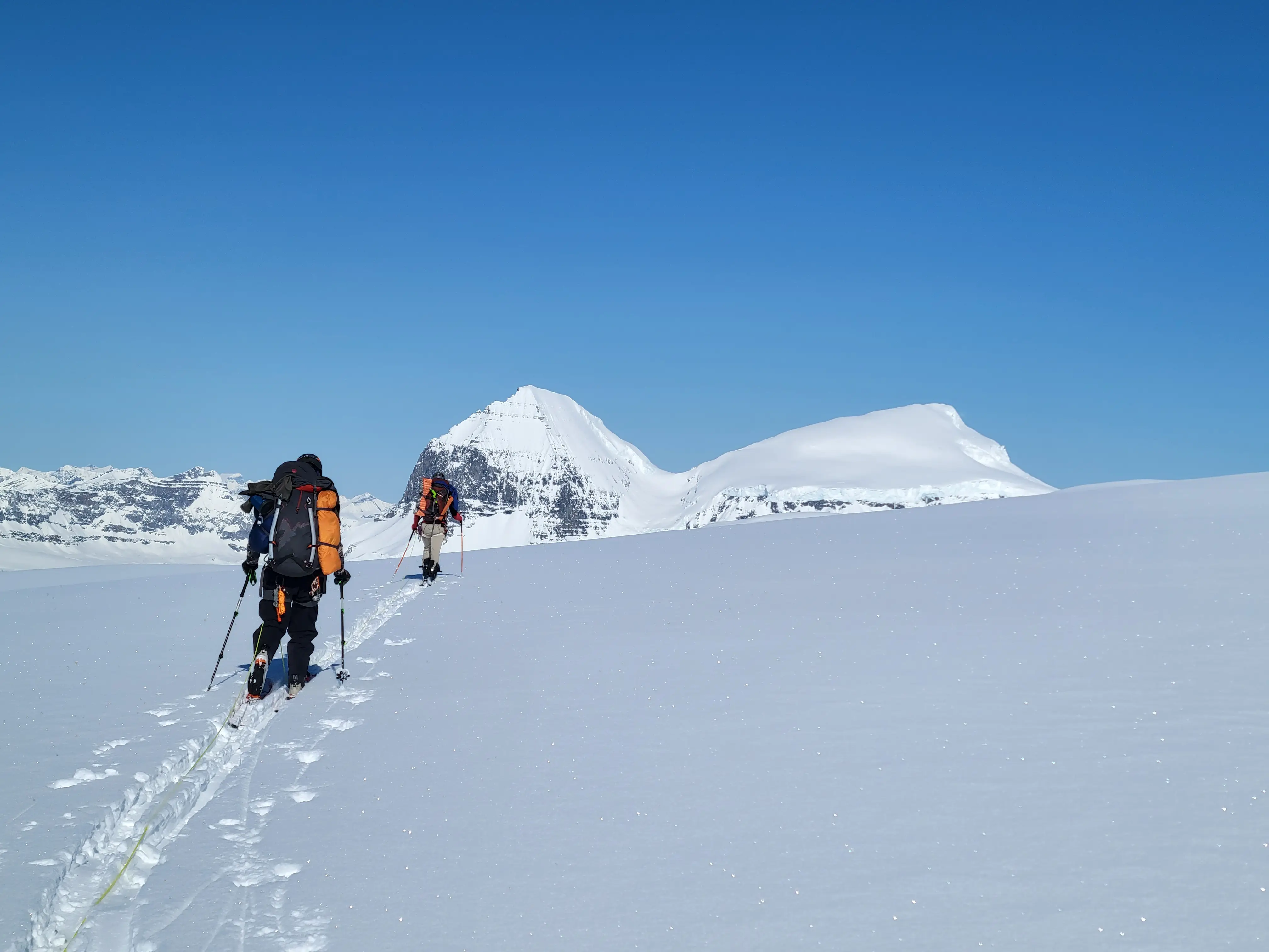 Two mountaineers roped up and skinning across the Columbia Icefield towards South Twin and North Twin under clear blue skies during a spring ascent.